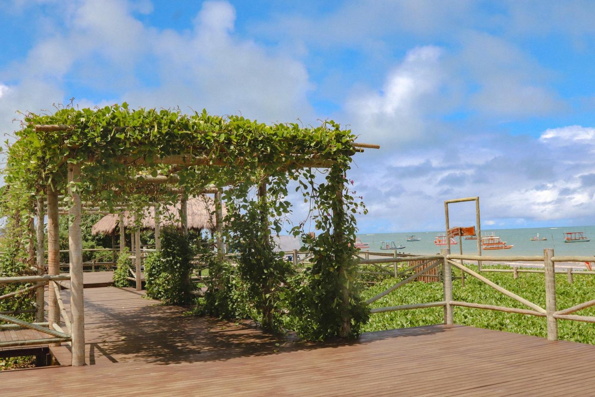 Casa Seriguela - Praia Do Patacho - Rota Ecologica Dos Milagres Pôrto de Pedras エクステリア 写真